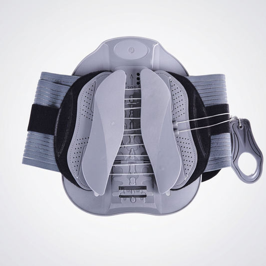Corelva Support Belt
